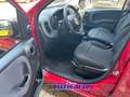 Fiat Panda PROMO FINANZ 1.0 HYBRID 5 POSTI +PACK CITY KM 0 Rosso - thumbnail 9