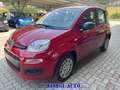Fiat Panda PROMO FINANZ 1.0 HYBRID 5 POSTI +PACK CITY KM 0 Rosso - thumbnail 7