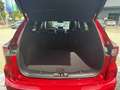 Ford Kuga 2.5 FHEV 4x4 ST-LINE X LED*B&O*NAVI*PANO Rot - thumbnail 12