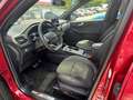 Ford Kuga 2.5 FHEV 4x4 ST-LINE X LED B&O NAVI PANO Rojo - thumbnail 4