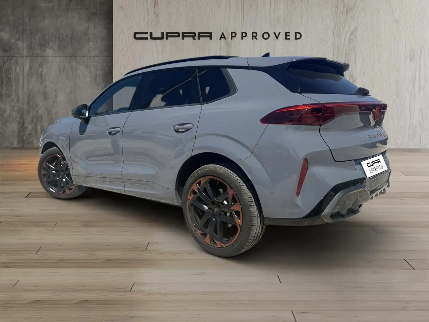 CUPRA Terramar 2.0 TSI VZ 195kW DSG 4Drive Gris - 2