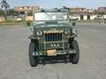 Jeep Willys Green - thumbnail 4