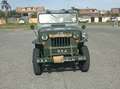 Jeep Willys Grün - thumbnail 4