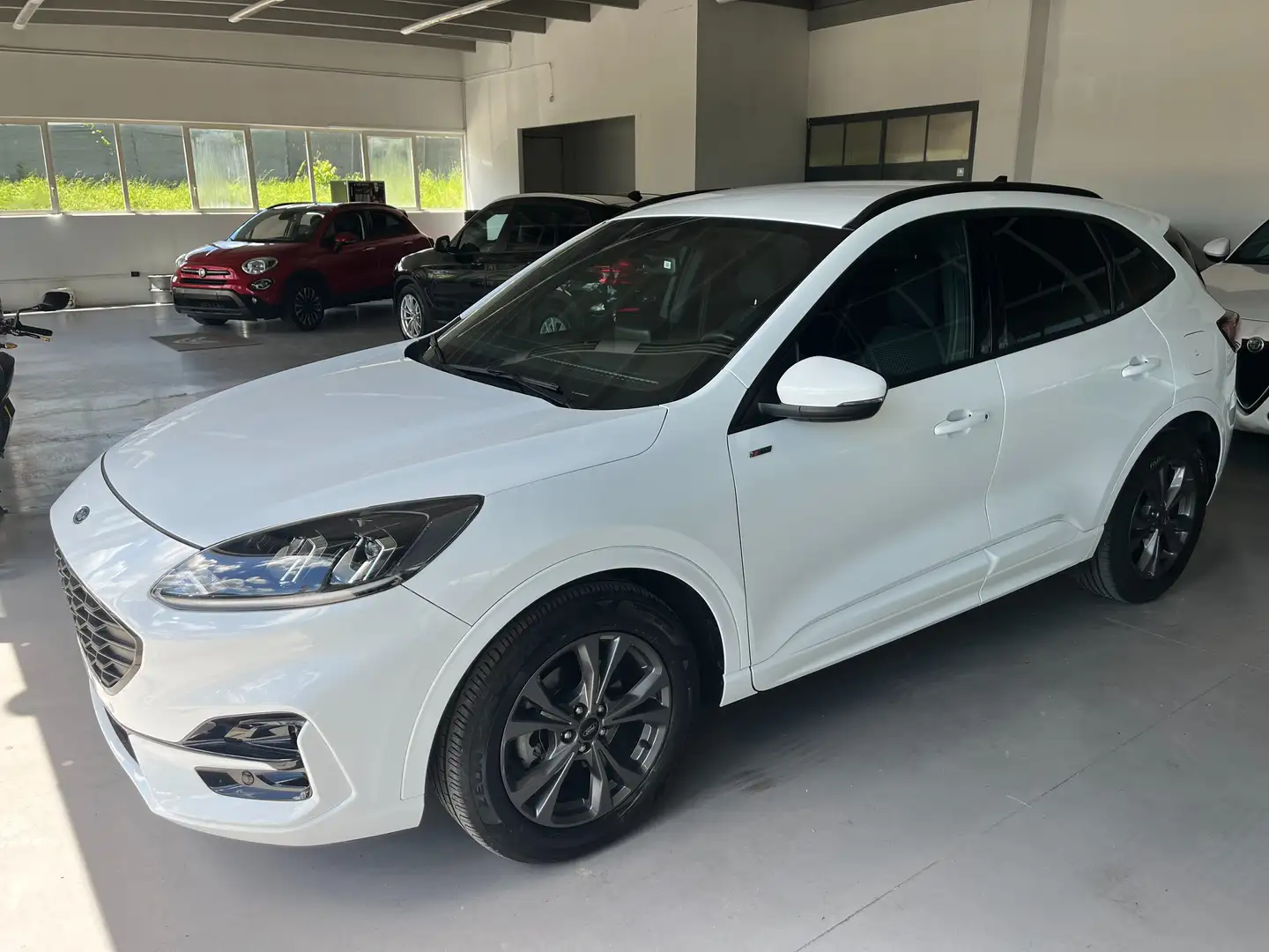 Ford Kuga Kuga 2.0 ecoblue ST-Line 2wd 120cv auto Weiß - 1