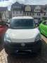 Fiat Doblo Doblo Cargo 1.3 Cargo Professional Weiß - thumbnail 2