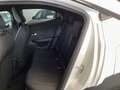 Opel Mokka Edition LED Android Auto Apple CarPlay SHZ Lenkrad Blanc - thumbnail 14