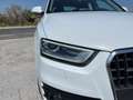 Audi Q3 Q3 2.0 TDI Advanced Plus Wit - thumbnail 20