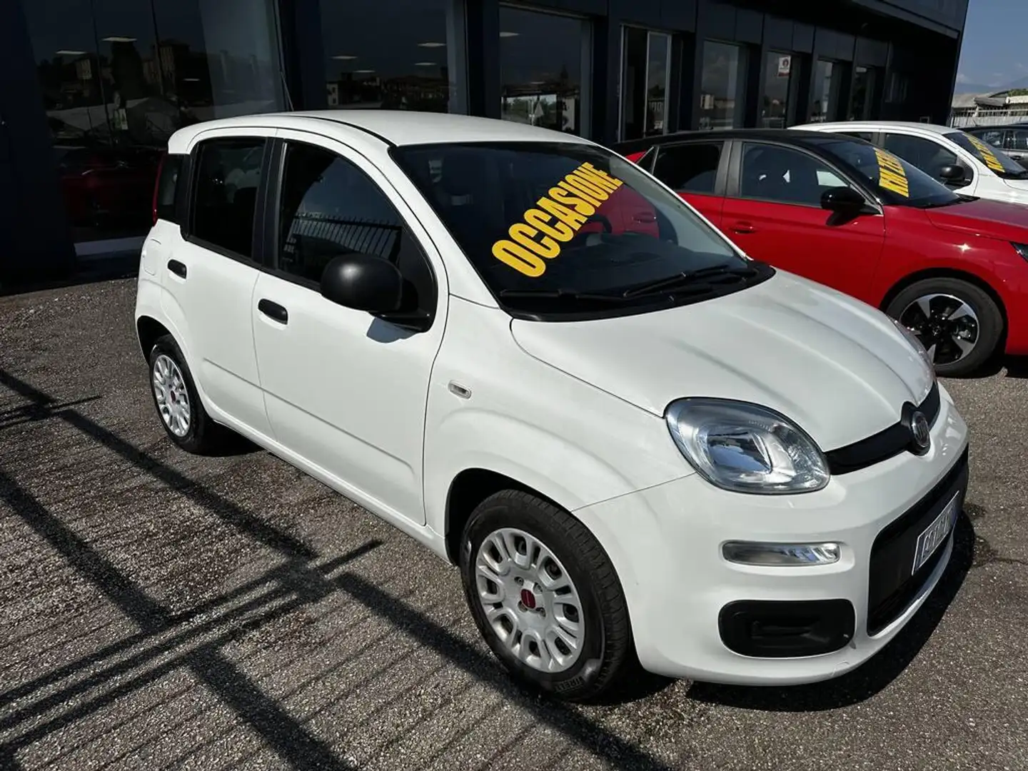 Fiat Panda 1.2 Easy s&s 69cv my19 5 pti Bianco - 2