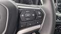 Isuzu D-Max D-Max Space Cab 4WD Autm. LS Gris - thumbnail 12