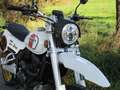 Mash X-Ride Classic 125 Bianco - thumbnail 9