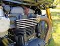 Triumph Thruxton TFC Grijs - thumbnail 10