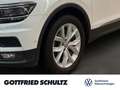 Volkswagen Tiguan Allspace 2.0 TDI 4Motion DSG HIGHLINE KAMERA VIRTUAL AHK NA Weiß - thumbnail 11
