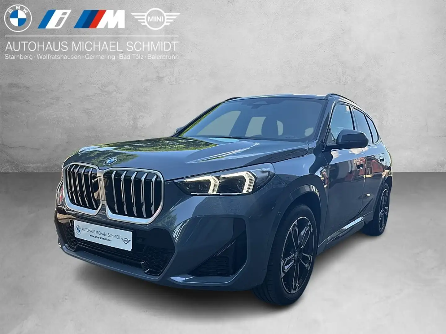 BMW X1 sDrive20d M Sportpaket HK HiFi DAB LED RFK Grau - 1