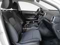 Kia Sportage 1.6 MHEV Business 4x4 136 Blanco - thumbnail 13