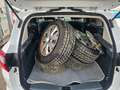 Ford C-Max Business Edition Weiß - thumbnail 8