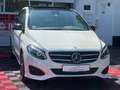Mercedes-Benz B 250 4-MATIC AMG PANO STANDHEIZUNG Weiß - thumbnail 5