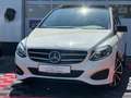 Mercedes-Benz B 250 4-MATIC AMG PANO STANDHEIZUNG Weiß - thumbnail 2