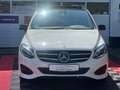 Mercedes-Benz B 250 4-MATIC AMG PANO STANDHEIZUNG Weiß - thumbnail 4