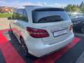 Mercedes-Benz B 250 4-MATIC AMG PANO STANDHEIZUNG Weiß - thumbnail 10