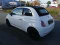 Fiat 500 500 C 0.9 TwinAir Plus Klima Teilleder HU/AU NEU Weiß - thumbnail 4
