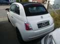 Fiat 500 500 C 0.9 TwinAir Plus Klima Teilleder HU/AU NEU Weiß - thumbnail 40