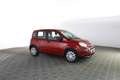 Fiat Panda 1.0 FireFly S&S Hybrid Rosso - thumbnail 2