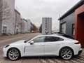 Porsche Panamera 4 · Panorama · Inno · 21"ALU · MY2026 Weiß - thumbnail 10