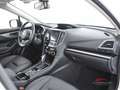 Subaru Impreza 2.0i Lineartronic MHEV Premium Wit - thumbnail 12