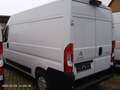Citroen Jumper L2H2 Club*Klima*Tempomat*Tüv neu*Garantie* Weiß - thumbnail 4