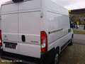 Citroen Jumper L2H2 Club*Klima*Tempomat*Tüv neu*Garantie* Weiß - thumbnail 5