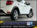 Dacia Sandero 1,0 TCe LPG 100 Prestige R-Cam Navi AHK Wit - thumbnail 5