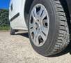Fiat Doblo 1.3 mjt 16v Active 90cv E5+  "FINITO" Білий - thumbnail 15