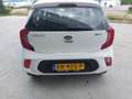 Kia Picanto 1.0 CVVT EconomyPlusLine AIRCO/LMV Wit - thumbnail 5