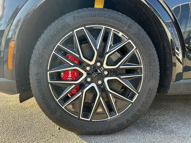Ford Mustang Mach-E view 9