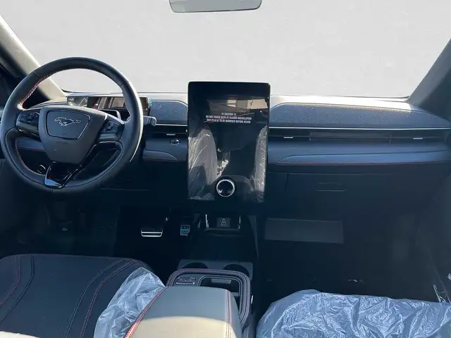 Ford Mustang Mach-E view 4