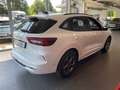 Ford Kuga ST-Line X  ACC, TWA, AHK Wit - thumbnail 3