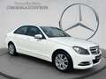 Mercedes-Benz C 200 CDI Limousine AVANTGARDE PTS AHK Shz  Klima Weiß - thumbnail 14