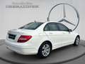 Mercedes-Benz C 200 CDI Limousine AVANTGARDE PTS AHK Shz  Klima Weiß - thumbnail 3