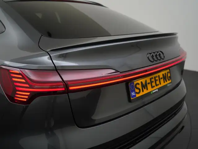 Audi E-Tron view 19