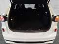 Ford Kuga Plug-In Hybrid ST-Line X 2.5 PHEV *SHZ*PDC*Tempo*R Weiß - thumbnail 4