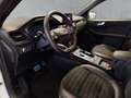 Ford Kuga Plug-In Hybrid ST-Line X 2.5 PHEV *SHZ*PDC*Tempo*R Weiß - thumbnail 8