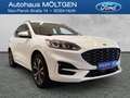 Ford Kuga Plug-In Hybrid ST-Line X 2.5 PHEV *SHZ*PDC*Tempo*R Weiß - thumbnail 1