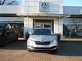 Skoda Karoq Style 4x4 DSG 2,0l TDI+Navi+AHK+Sitzh.+PDC Argent - thumbnail 2