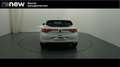 Renault Megane 1.3 TCE ZEN FAST TRACK 103KW 140 5P Blanco - thumbnail 5