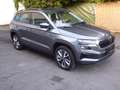 Skoda Karoq Style 4x4 TDI DSG 1 H. SH. Skoda AHK PDC Kamera Gris - thumbnail 22