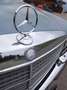 Mercedes-Benz S 280 280 S W116 Blau - thumbnail 20