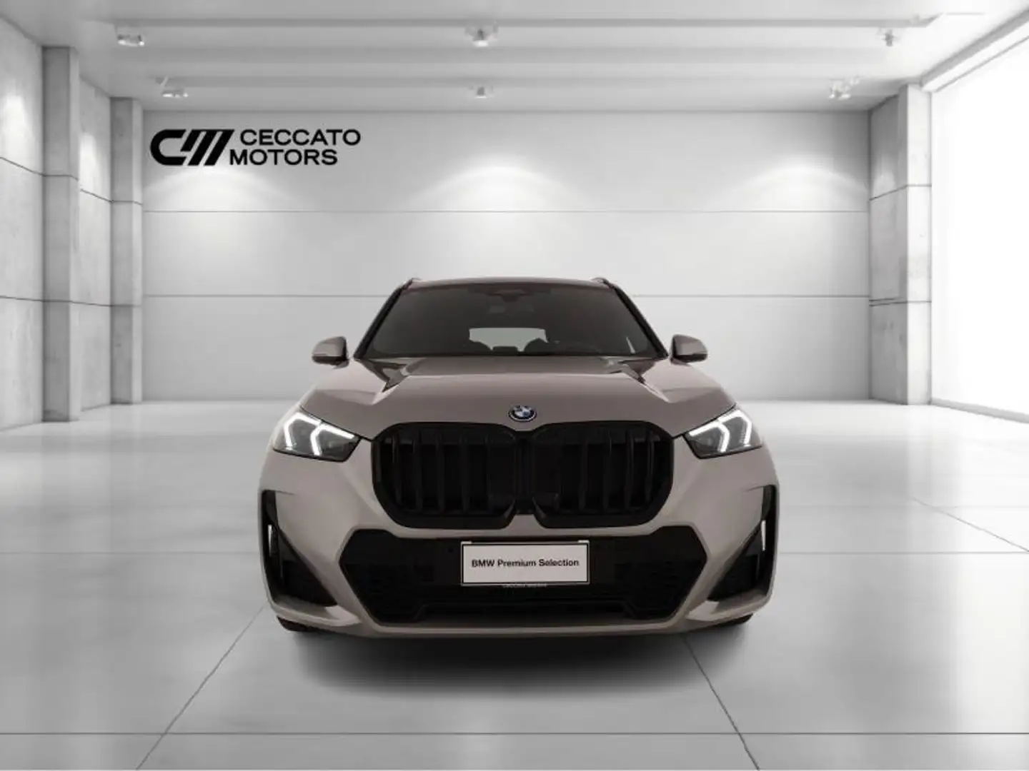 BMW X1 xdrive 25e MSport Pro auto Grau - 2