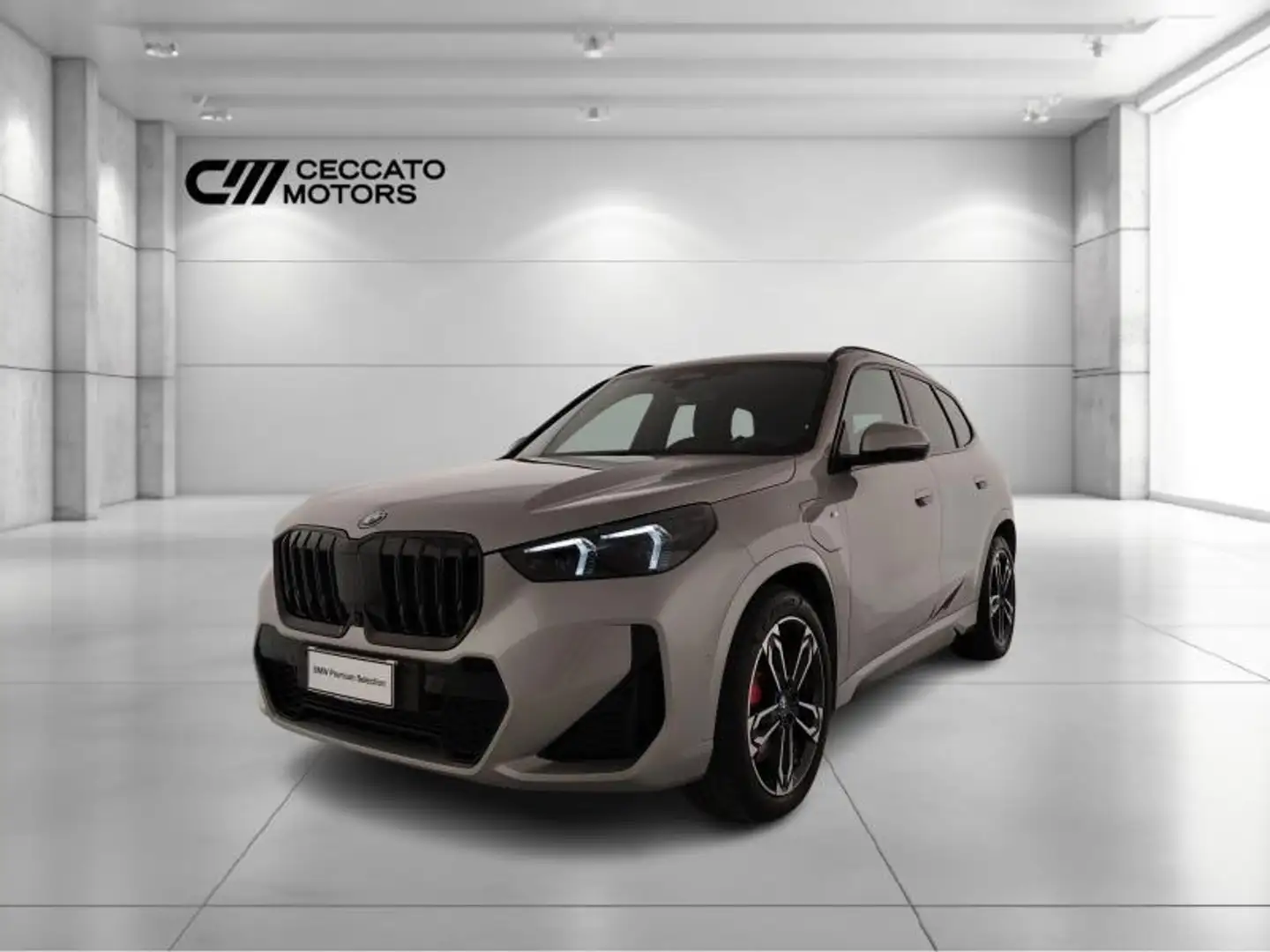 BMW X1 xdrive 25e MSport Pro auto Grau - 1