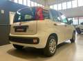 Fiat Panda Panda 1.0 firefly hybrid *PREZZO PROMO* Weiß - thumbnail 4