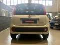 Fiat Panda Panda 1.0 firefly hybrid *PREZZO PROMO* Weiß - thumbnail 3